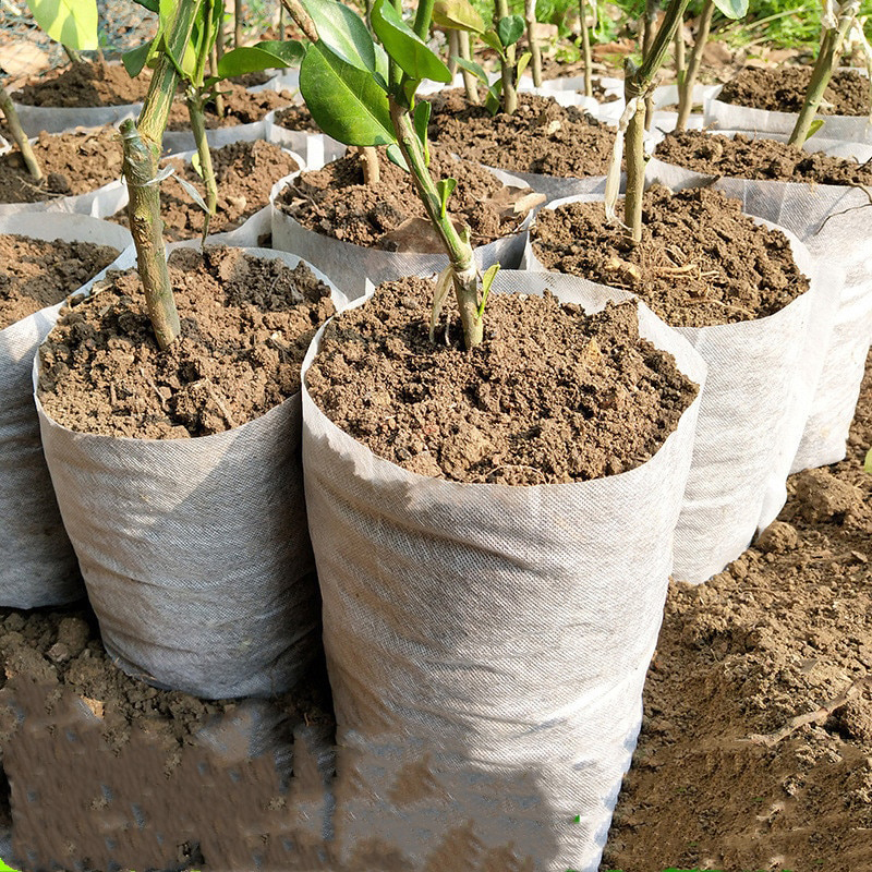Biodegradable Eco-Friendly Ventilate Graphene Non-woven Fabric Nursery Planting Seedling Bags
