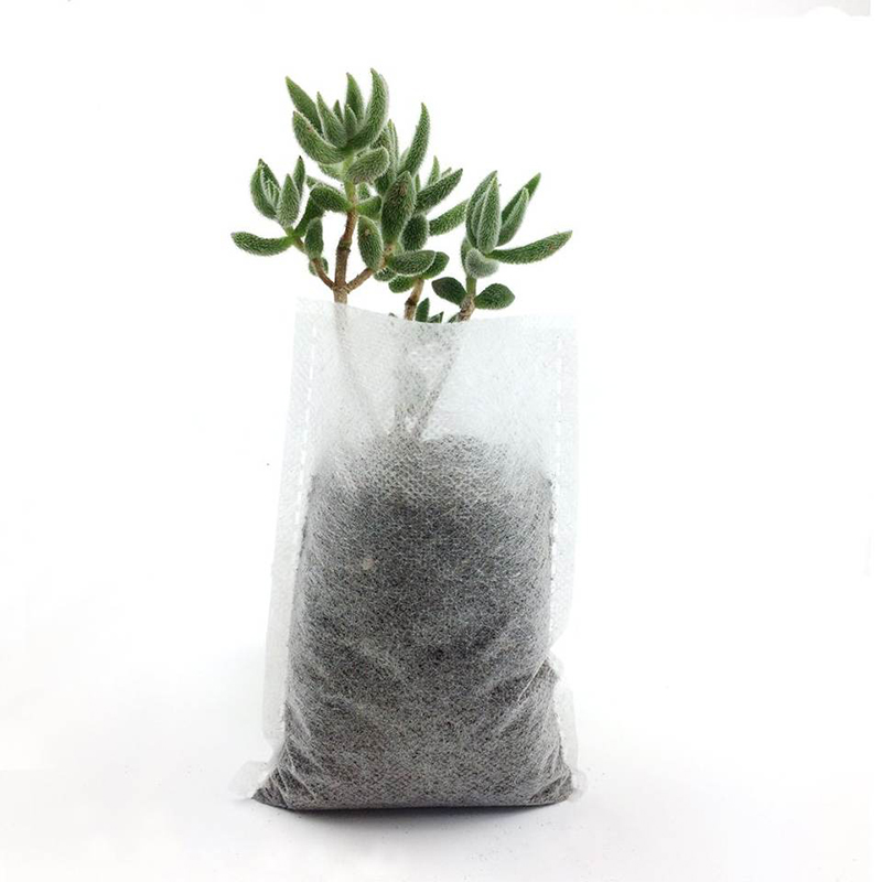 Biodegradable Eco-Friendly Ventilate Graphene Non-woven Fabric Nursery Planting Seedling Bags
