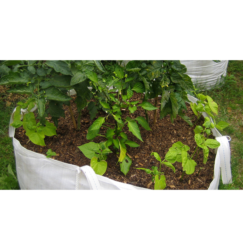 Garden Strawberry Potato Tomato Fabric Graphene Plant Grow Bags For Plants Vegetables